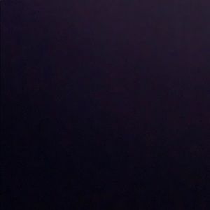 Meet your Posher, Lanie